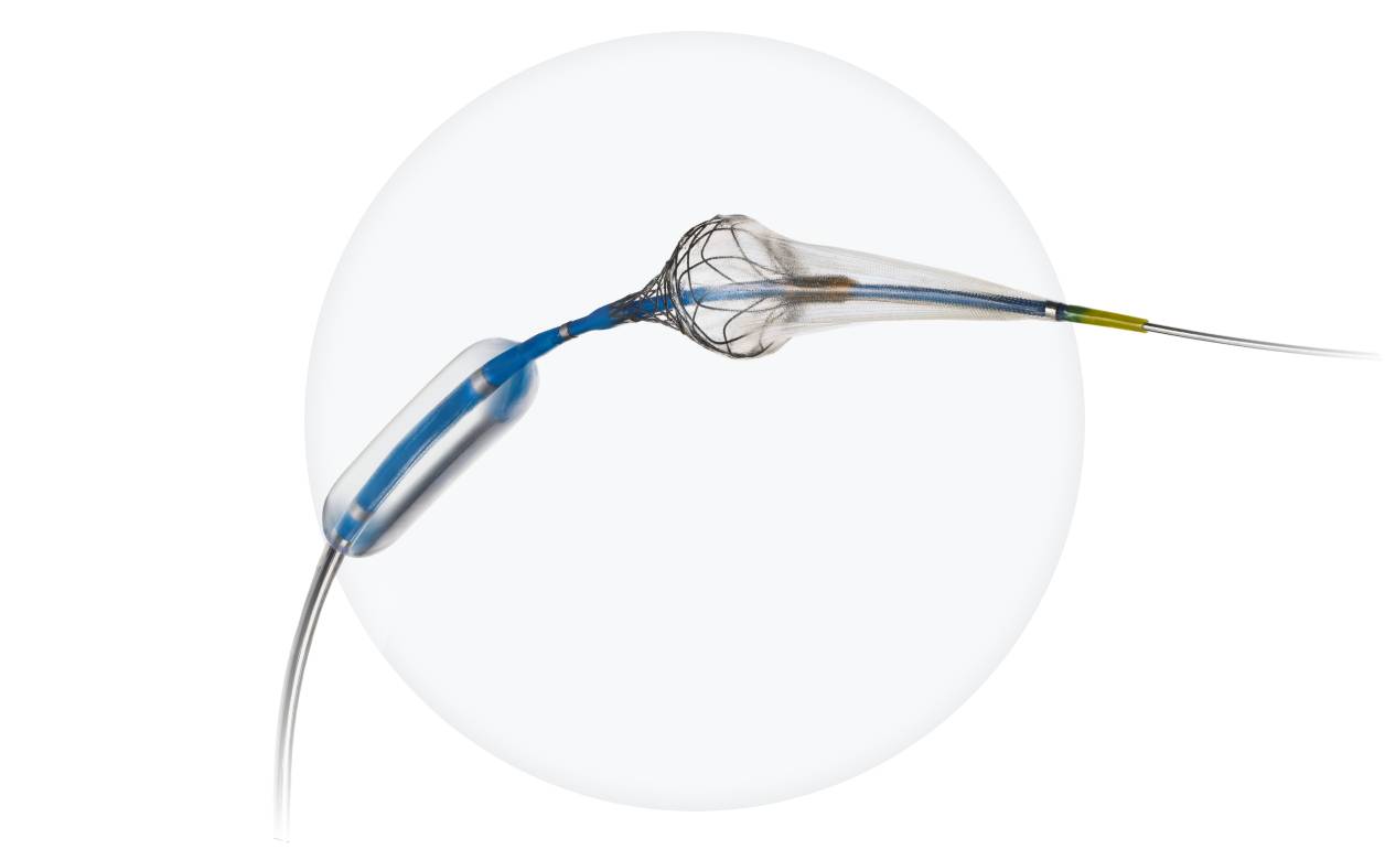 Paladin® Carotid PTA Balloon System with Integrated Embolic Protection (IEP)